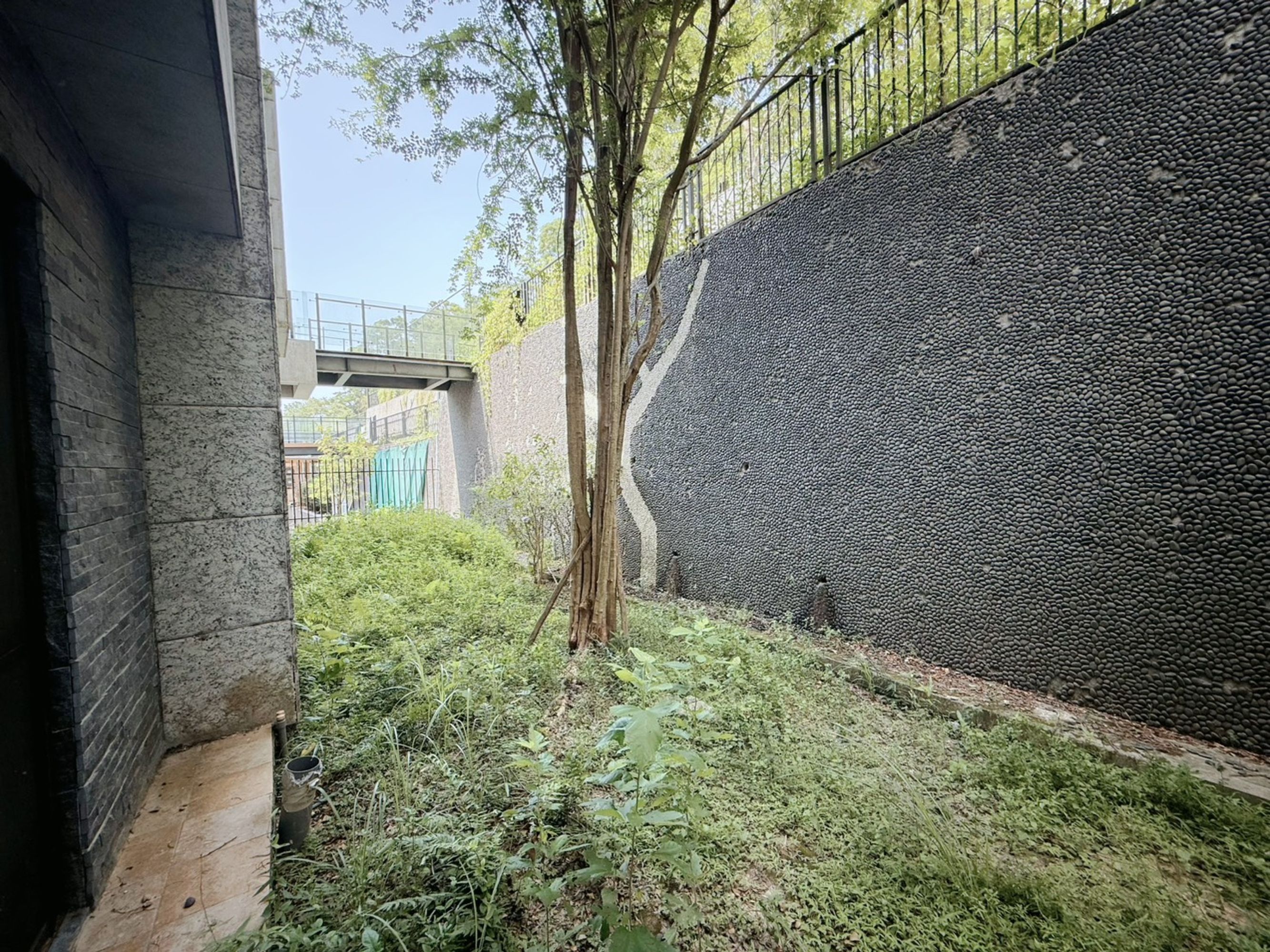 新竹15米大面寬+花園董事長日式溫泉別墅 - 縮圖 5